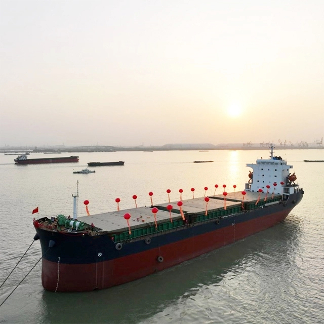 クレーン付き二重船体カスタマイズバルカーキャリア 